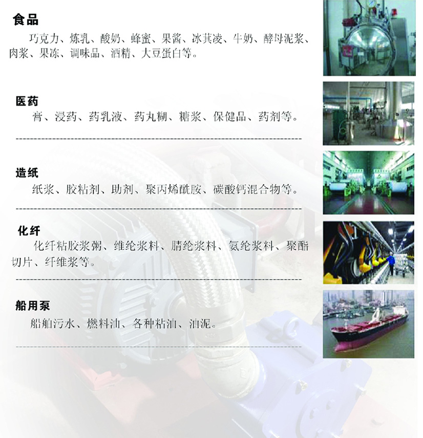转轮泵应用领域的解读续页