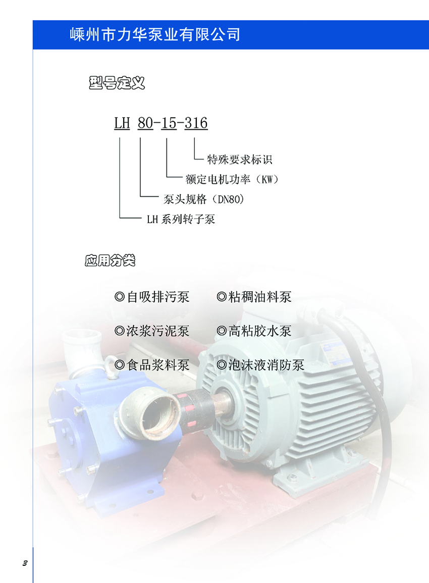 转轮泵选型手册第4页