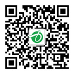 公众号