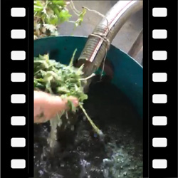 转轮泵,粉碎机构,杂物通过性