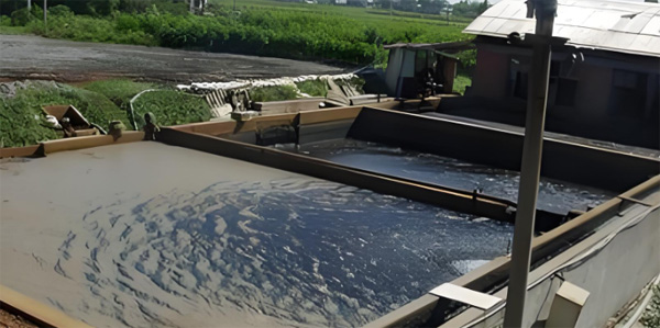 造纸污泥干化池